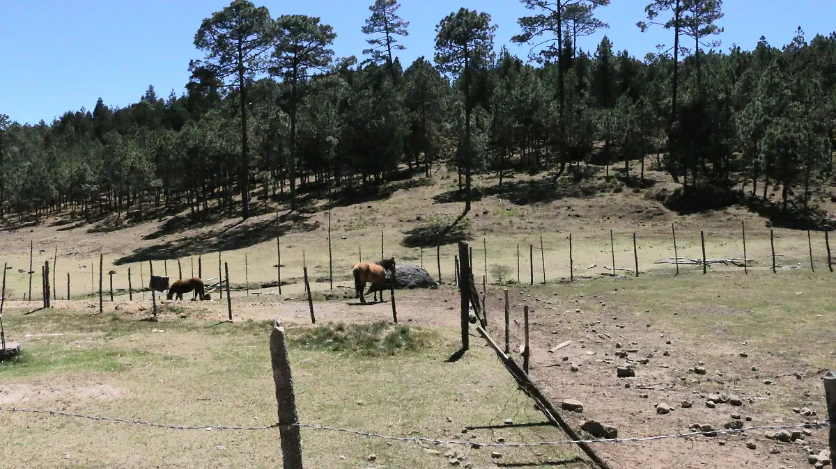 Presupuesto para Áreas Naturales Protegidas 3